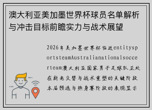 澳大利亚美加墨世界杯球员名单解析与冲击目标前瞻实力与战术展望